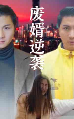 废婿逆袭（101集） - 海之城短剧