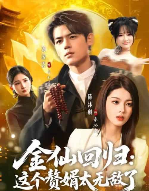 金仙回归：这个赘婿太无敌了（76集全）姜凌雲＆陈沐琳-海之城短剧项目