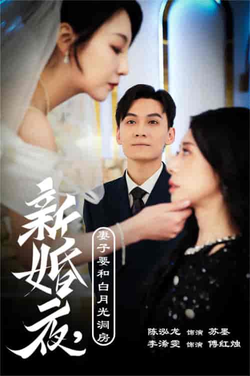 新婚夜，妻子要和白月光洞房＆礼尚往来（30集全） - 海之城短剧
