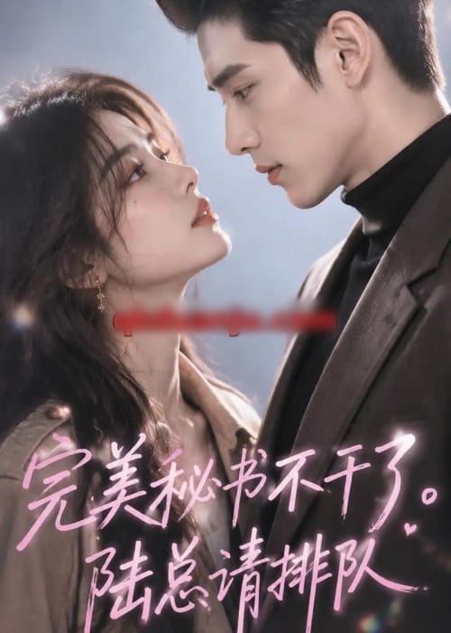 完美秘书不干了，陆总请排队（43集全）AI短剧-海之城短剧项目