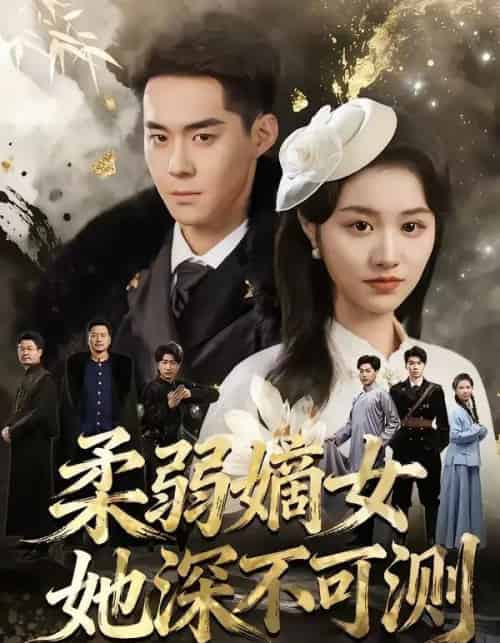 柔弱嫡女她深不可测（70集全）徐子珊＆李佳明＆刘金山-海之城短剧项目