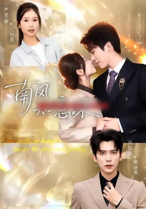 南风知意深（40集全）冯思源＆严雯丽-海之城短剧项目