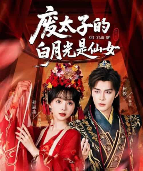 废太子的白月光是仙女（64集）邹柯俊＆蔡淼燕 - 海之城短剧