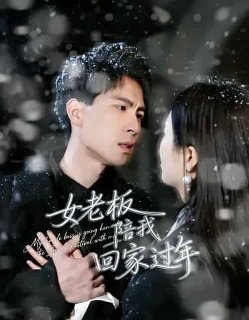 女老板陪我回家过年（40集全）罗珊珊＆贺翔-海之城短剧项目