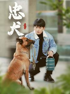 忠犬（34集全） - 海之城短剧