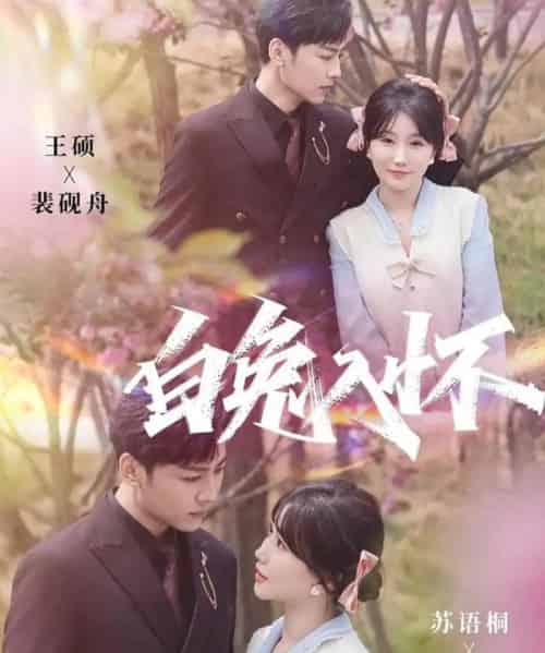 白兔入怀（60集全）星硕＆苏语桐-海之城短剧项目