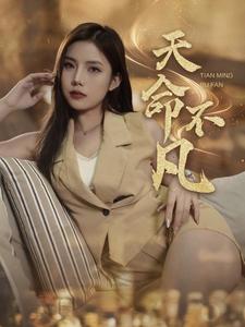 天命不凡（28集全） - 海之城短剧