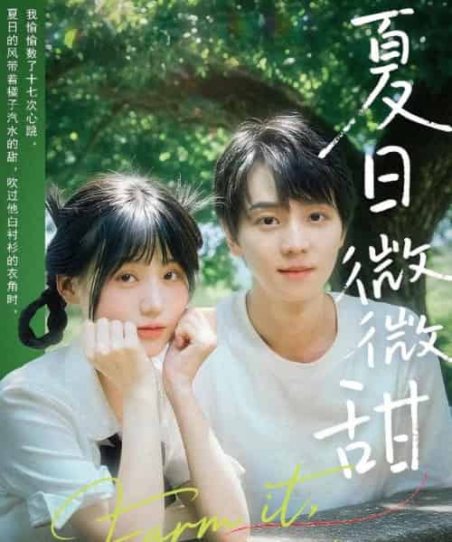 夏日微微甜（79集）苏泽林＆宋澎澎 - 海之城短剧