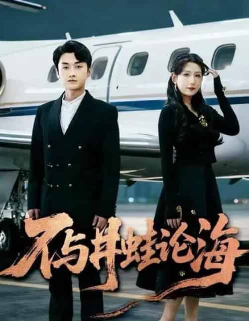 飞上天也是麻雀＆不与井蛙论海（61集全）邢露＆王龙-海之城短剧项目