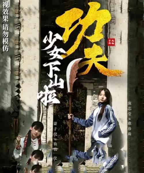 功夫少女＆功夫少女下山啦（100集）-海之城短剧项目