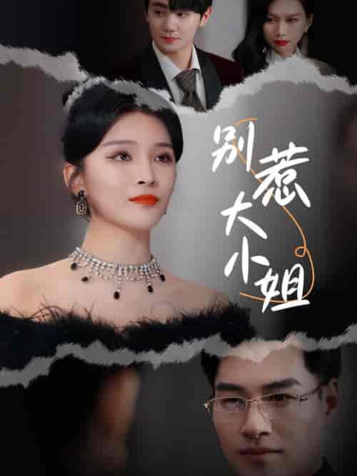 别惹大小姐（31集全）杨妍 - 海之城短剧