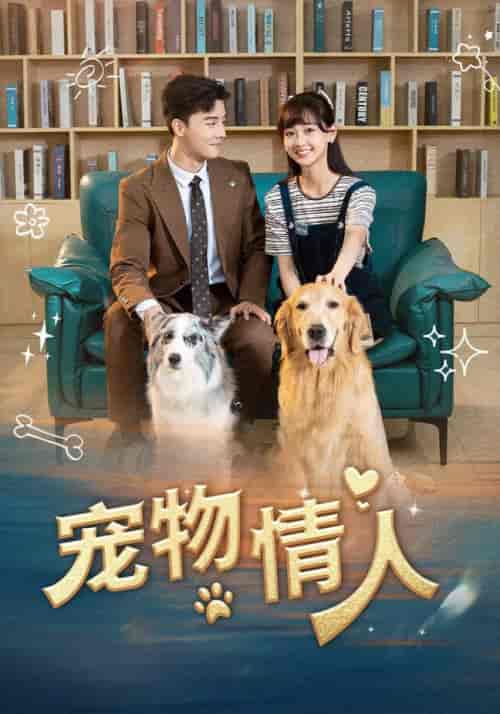宠物情人（42集全）韩忠羽 - 海之城短剧