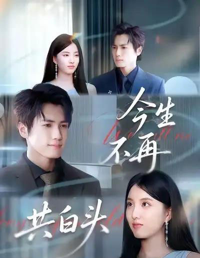 今生不再共白头（89集全）杨凯群＆钰婷-海之城短剧项目