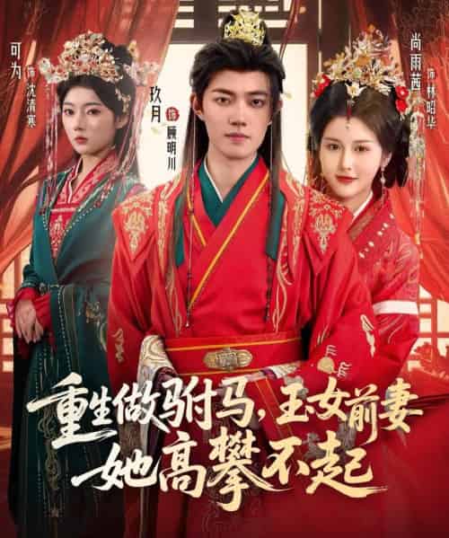 重生做驸马，玉女前妻她高攀不起（79集全）玖月＆尚雨茜＆可为-海之城短剧项目