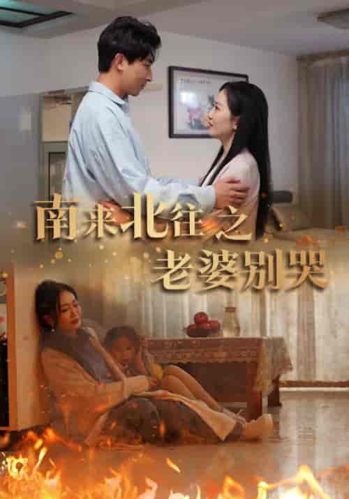 南来北往之老婆别哭（87集）姚宇晨 - 海之城短剧