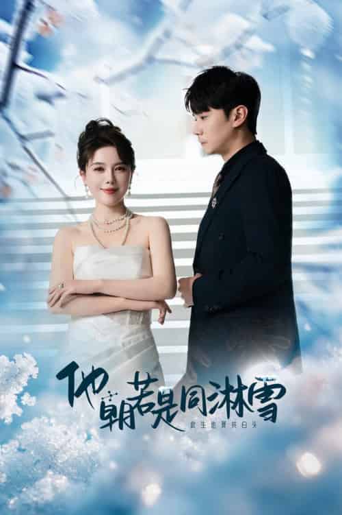 他朝若是同淋雪（48集全）刘家呈-海之城短剧项目