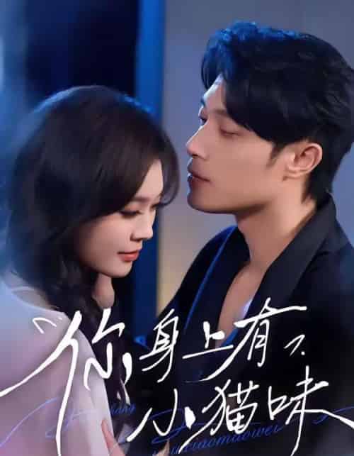 你身上有小猫味（47集全）韩悦＆一安羊-海之城短剧项目