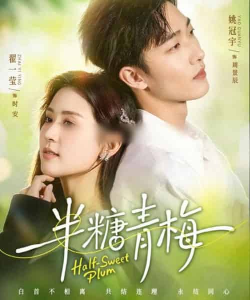 半糖青梅（96集全）翟一莹＆姚冠宇-海之城短剧项目