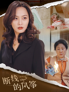 断线的风筝（30集全） - 海之城短剧
