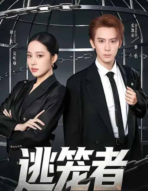 逃笼者（71集全）张凯帝＆谭笑-海之城短剧项目