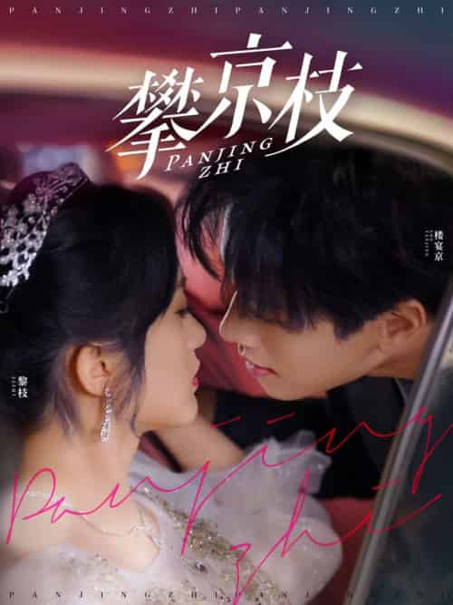 攀京枝（80集全）展轩＆毛香淋 - 海之城短剧