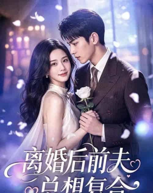 离婚后前夫总想复合（72集全）AI-海之城短剧项目