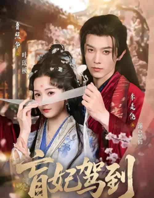 盲妃驾到（65集全）鲁照华＆李是侥-海之城短剧项目