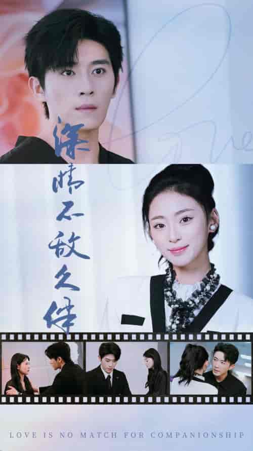 深情不敌久伴（50集）王美淇 - 海之城短剧
