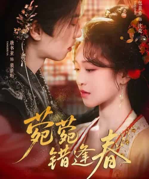 菀菀错逢春（62集全）唐书亚＆包晨希-海之城短剧项目