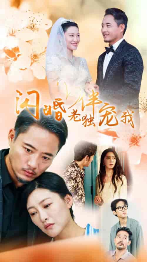 再婚伴侣老来福（70集全） - 海之城短剧