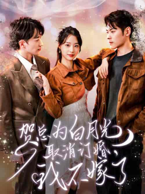 贺总为白月光取消订婚，我不嫁了（105集全）王小亿 - 海之城短剧