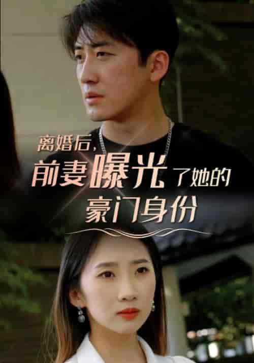 离婚后，前妻曝光了她的豪门身份（100集全）叶明辰＆楚若离 - 海之城短剧