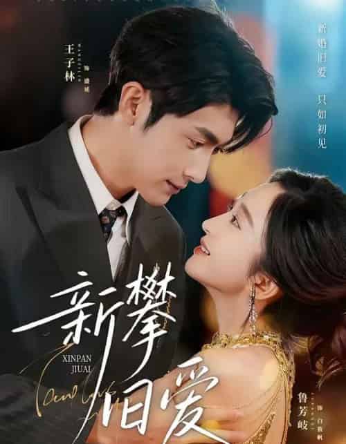 新攀旧爱（67集全）王子林＆鲁芳岐-海之城短剧项目