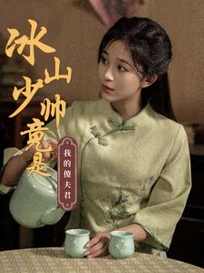 冰山少帅竟是我的傻夫君（86集全） - 海之城短剧