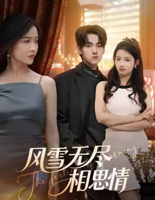 风雪无尽相思情（61集全）李珊＆詹琸-海之城短剧项目