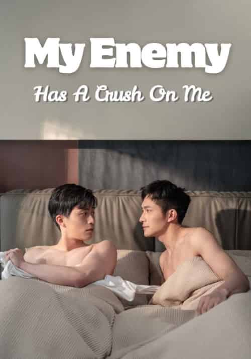 My Enemy Has A Crush On Me（19集全）Fu＆Ci＆Jiang＆Nai - 海之城海外短剧