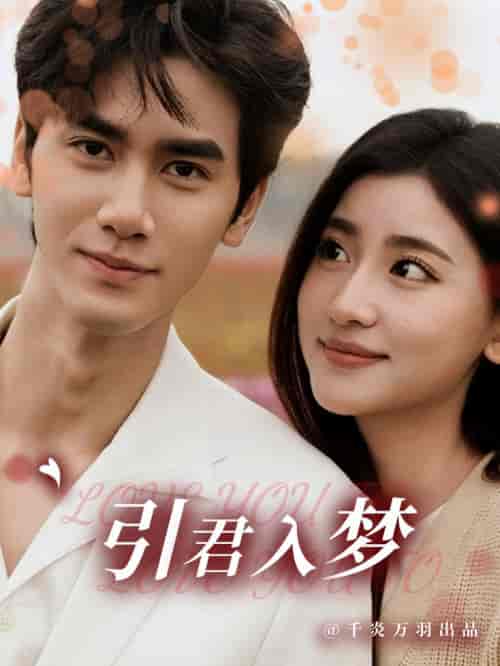 引君入梦（75集全）王小明＆一枝芦苇 - 海之城短剧