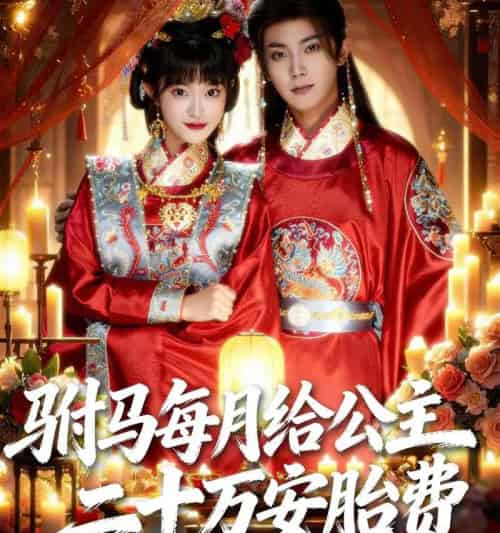 驸马每月给公主二十万安胎费（80集-海之城短剧项目
