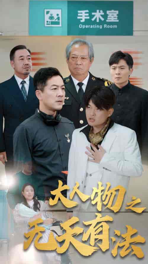 新大人物之无天有法（35集全） - 海之城短剧