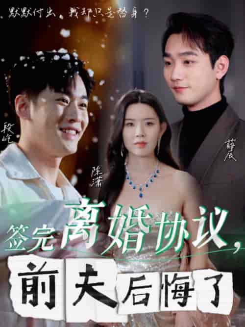 签完离婚协议前夫后悔了（31集全） - 海之城短剧