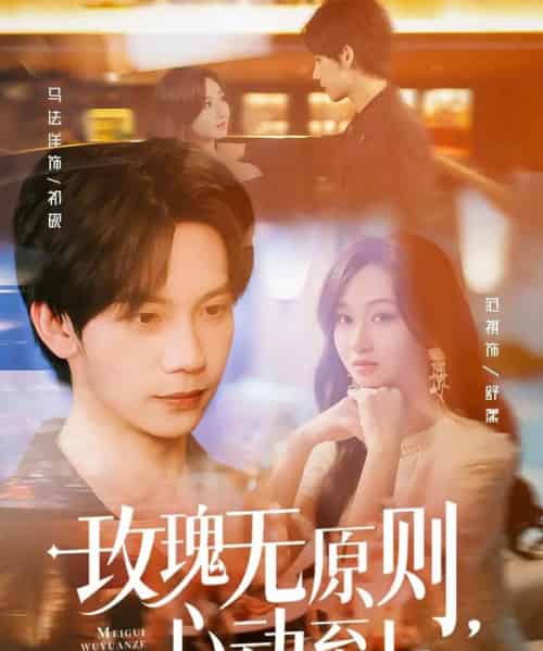 玫瑰无原则心动至上（78集）马法洋＆范祺 - 海之城短剧