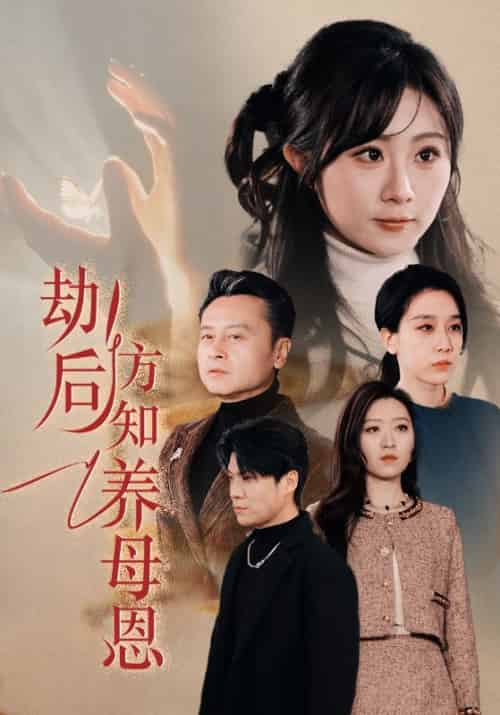 劫后方知养母恩＆春风拂旧怨（45集全）王锦颖 - 海之城短剧