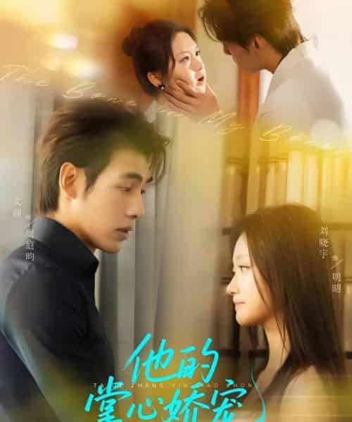 他的掌心娇宠（60集）文渊＆刘晓宇-海之城短剧项目