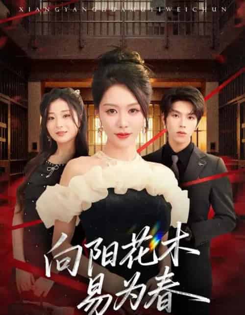 新：向阳花木易为春（72集全）钟莹玲＆向帅-海之城短剧项目