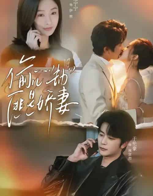 偷心劫匪是娇妻＆偷“心”劫匪是娇妻（61集全）于伦豪＆迟宁宁-海之城短剧项目