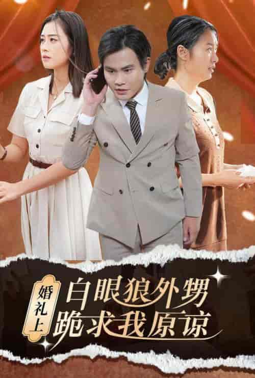 婚礼上白眼狼外甥跪求我原谅 婚礼上白眼狼外甥跪求我原谅