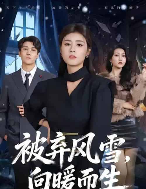 被弃风雪，向暖而生（60集全）郭嘉铭＆邹洁仪-海之城短剧项目