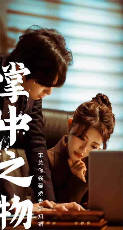 掌中之物：宋总娶娇妻可知错（97集） - 海之城短剧