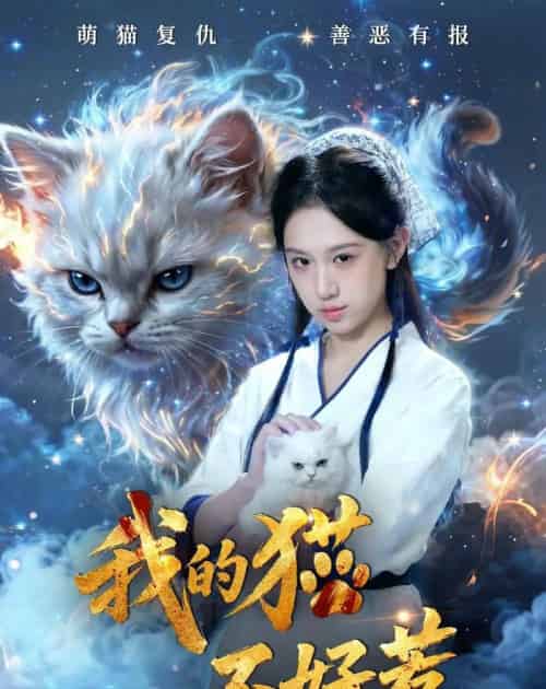 我的猫不好惹（42集全）江来＆陈鸿运-海之城短剧项目