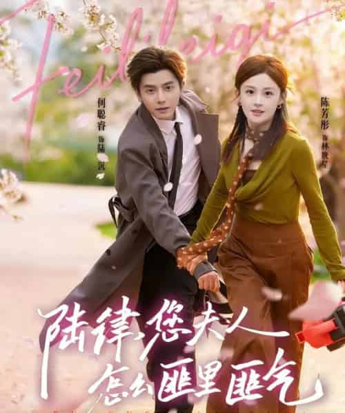 陆律，您夫人怎么匪里匪气（60集全）何聪睿＆陈芳彤-海之城短剧项目